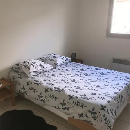 Apartment Entier T2 Avec Piscine Paradis Entierement Meuble Proche Metro